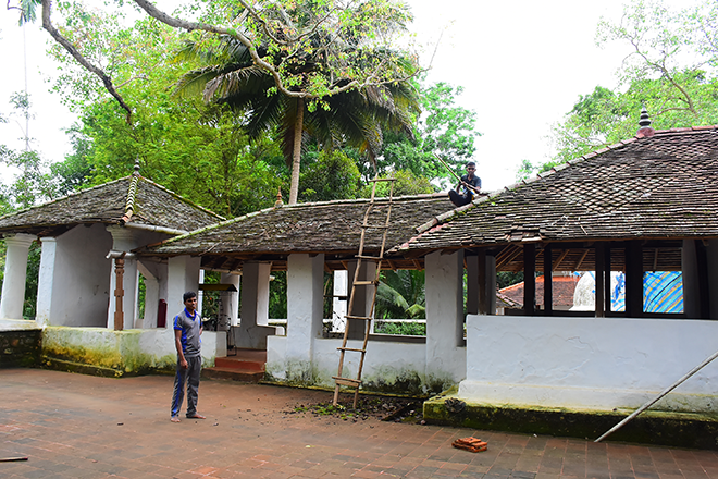 Gallery 1