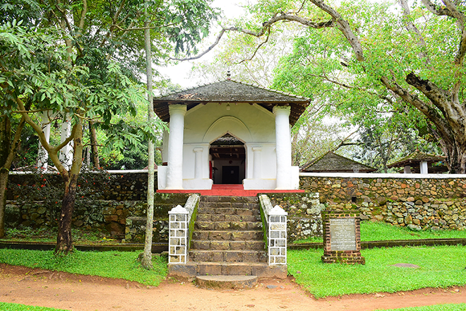 Gallery 3
