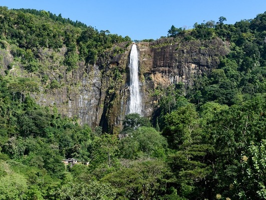 Center Image