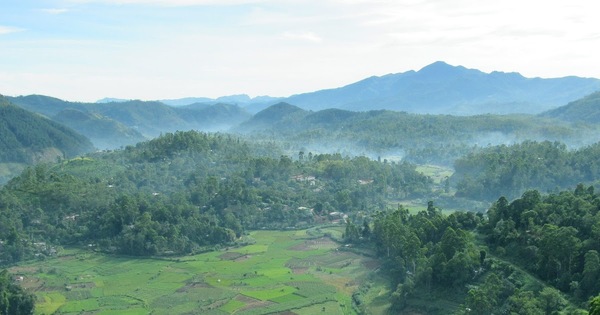 Center Image