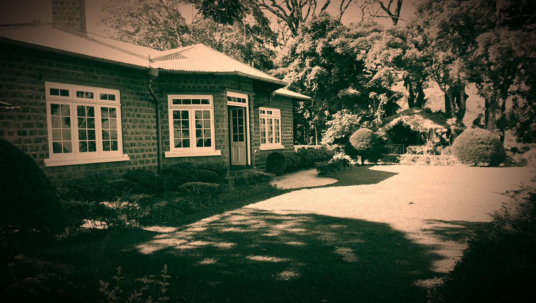 Gallery 3