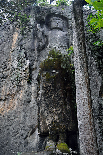 Center Image