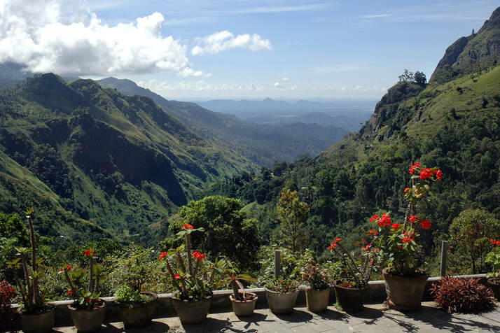 Gallery 2