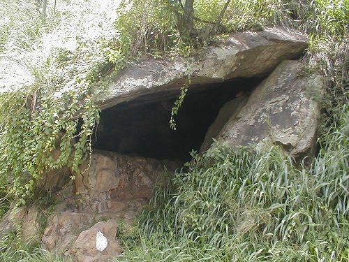 Gallery 2