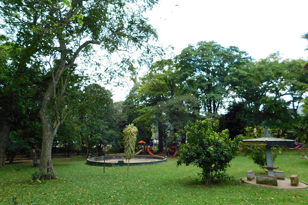 Center Image