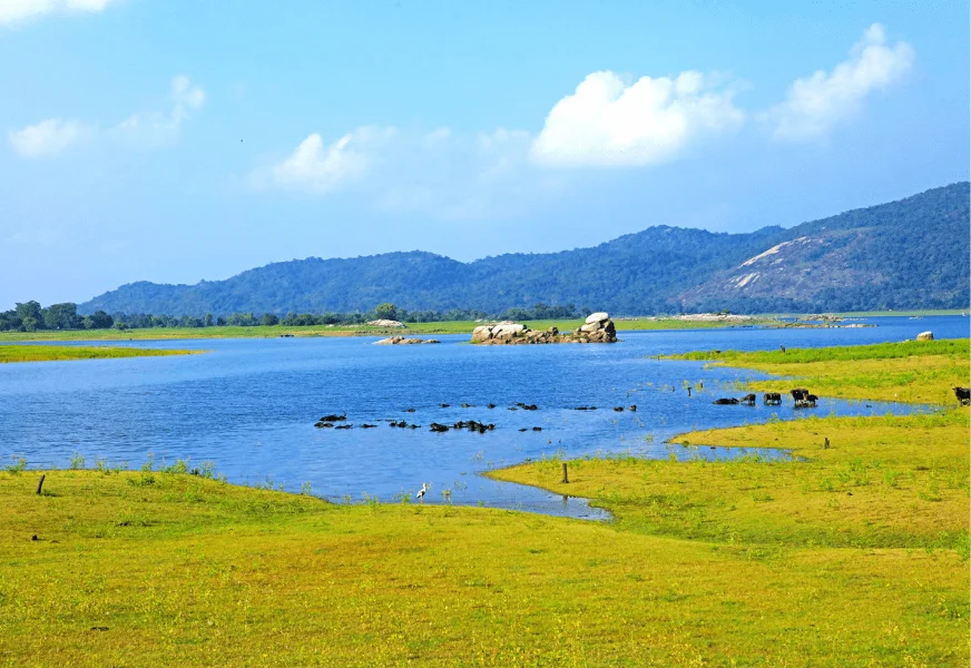 maduru oya reservoir 