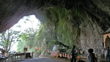 Gallery 3