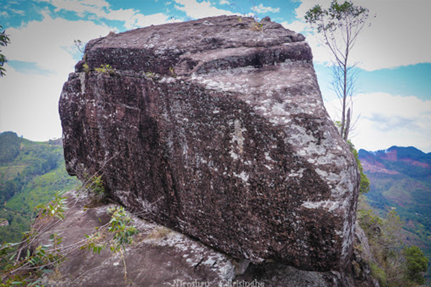 D.S Rock 