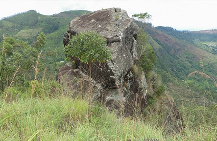 Gallery 3