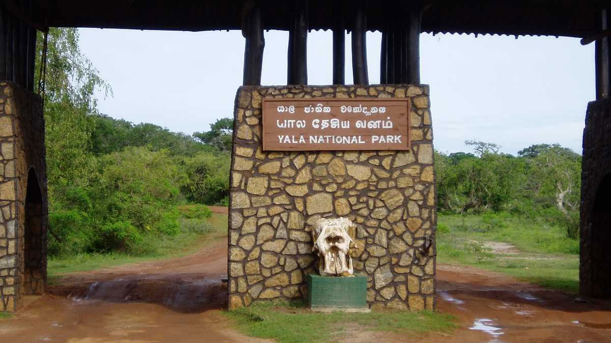 Yala National Park