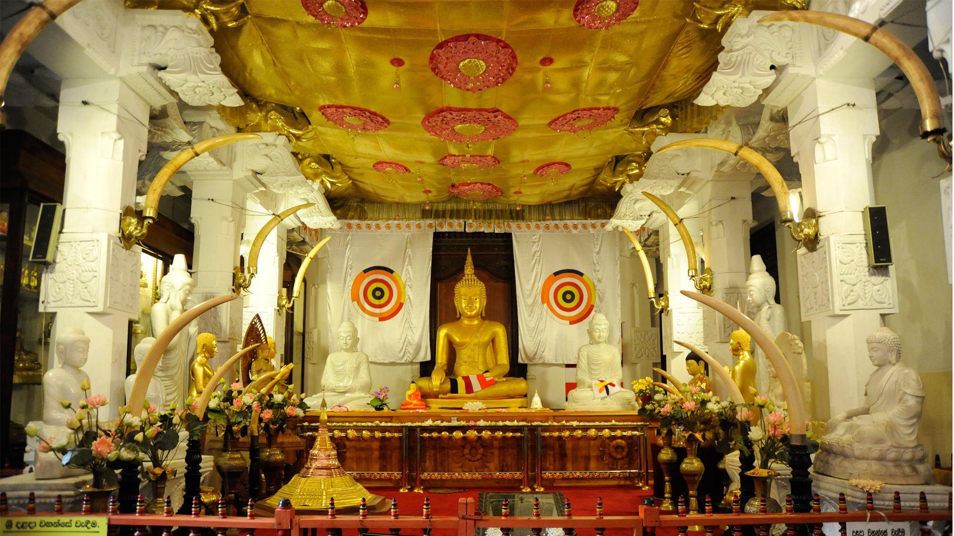 Center Image