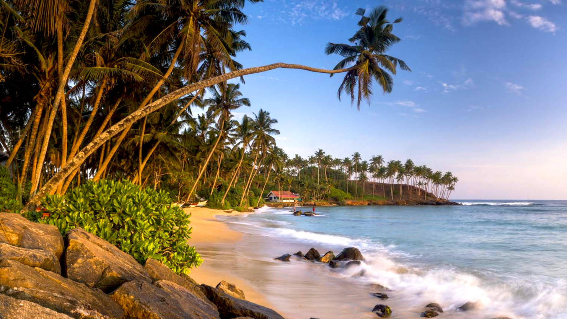 Mirissa Beach