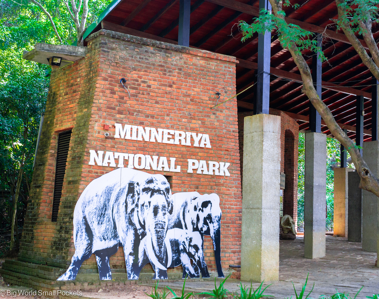 Minneriya National Park, Habarana