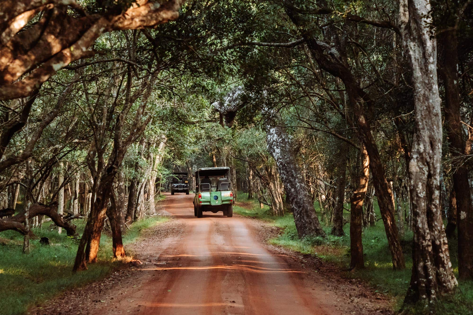 Wilpattu National Park
