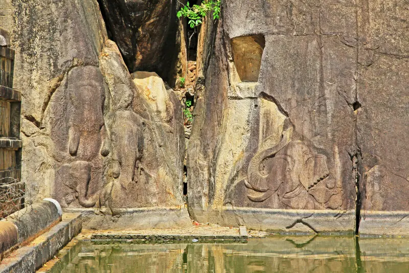 Gallery 3
