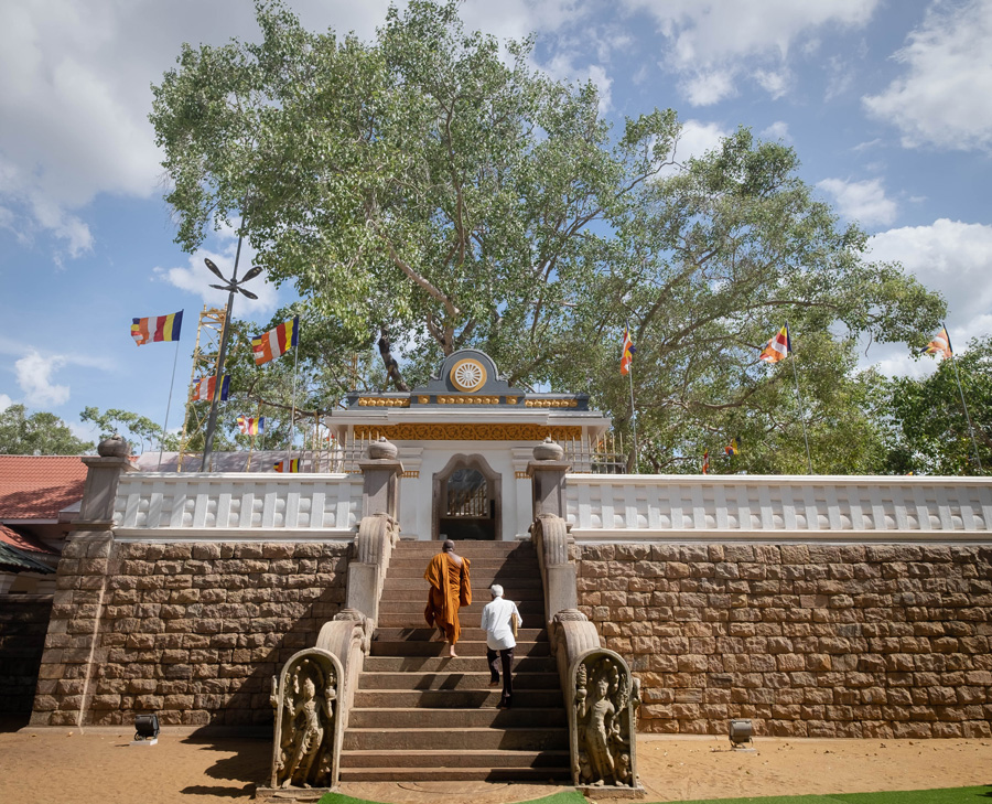 Jaya Sri Maha Bodhi