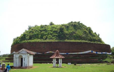 Gallery 3